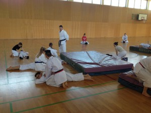 Karate (4)